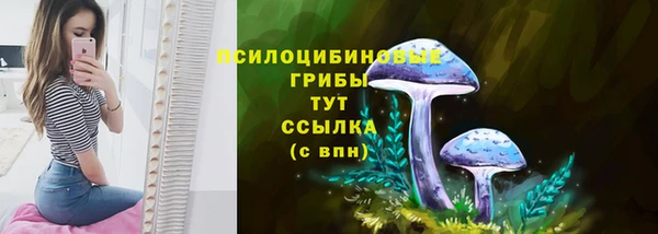 ALPHA PVP Киреевск