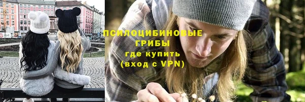 ALPHA PVP Киреевск