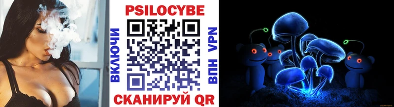 Купить  Канск  Псилоцибиновые грибы GOLDEN TEACHER 